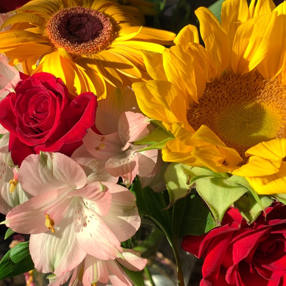 Offers welcomed ✌🏼